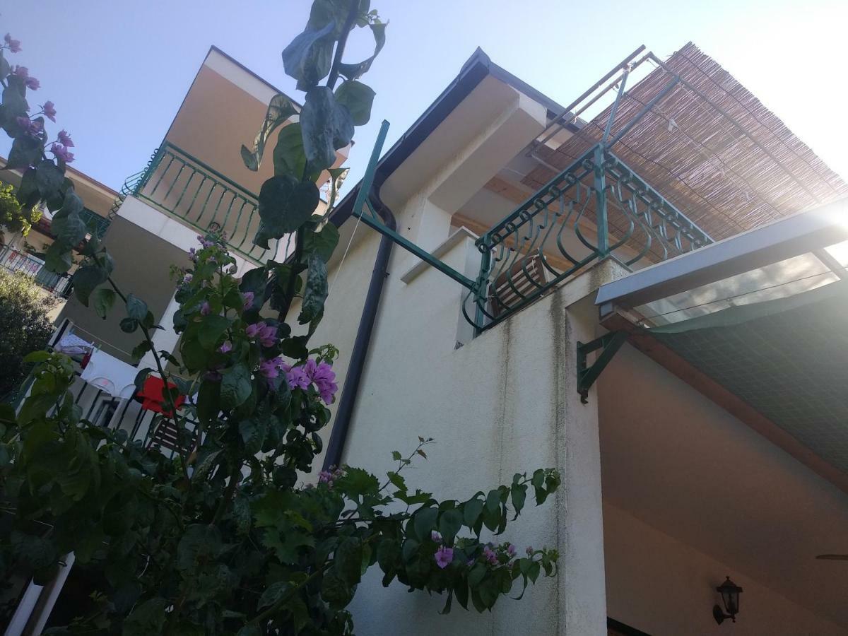 Apartmani Mira Брела Екстер'єр фото